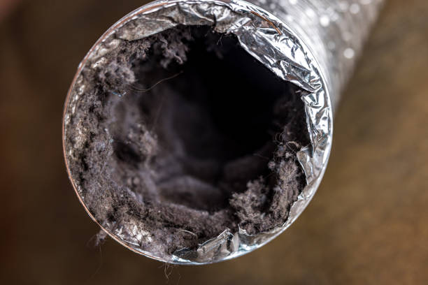 Best Local Air Duct Cleaning Services  in Shreveport, LA