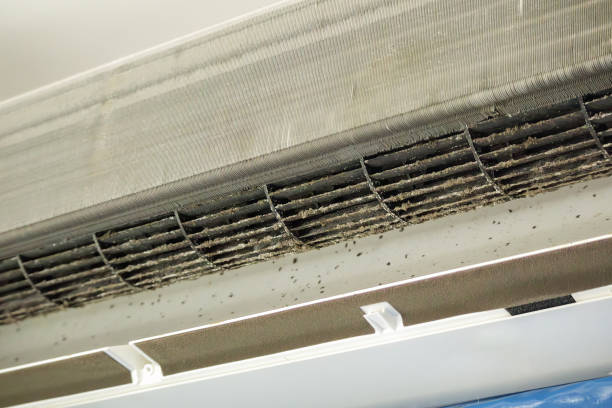Best Affordable Duct Cleaning Services  in Shreveport, LA